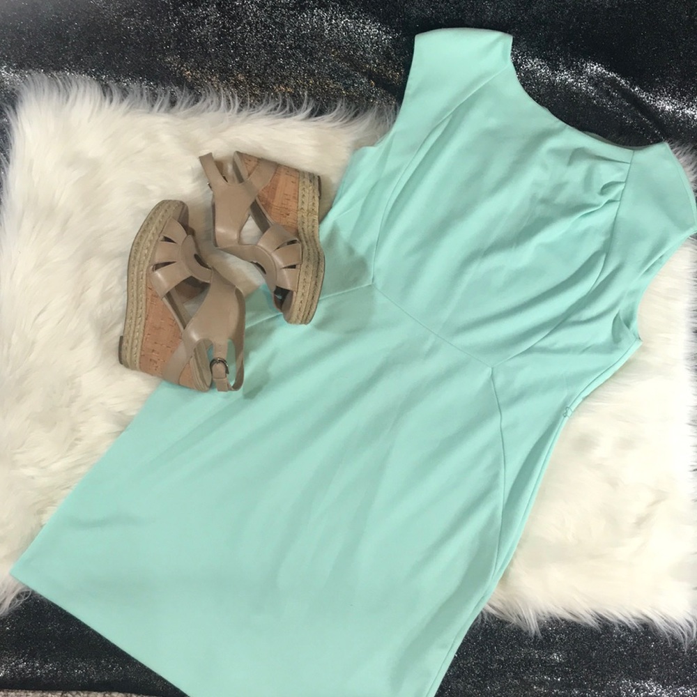The Limited Dress